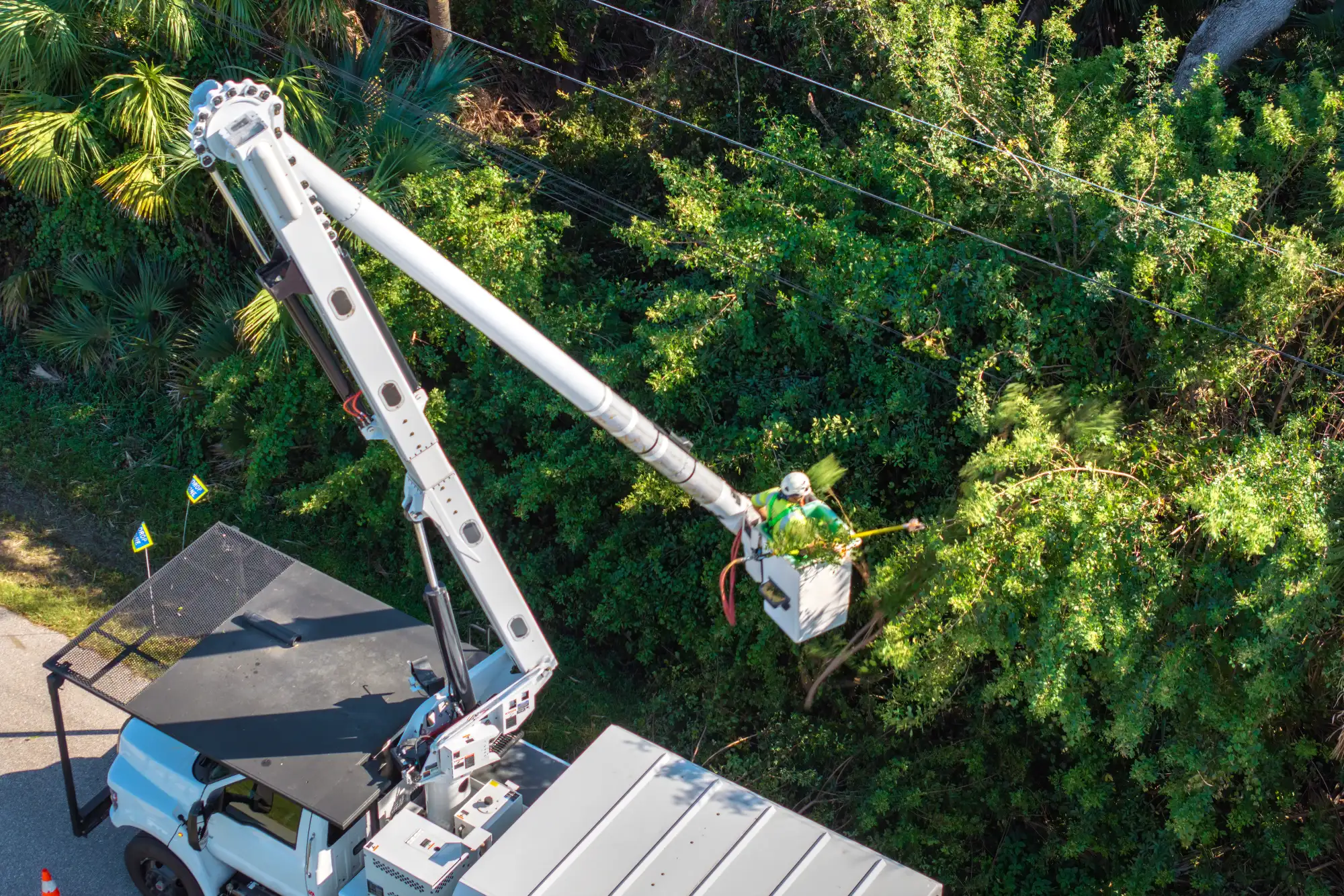 Music City Tree Service